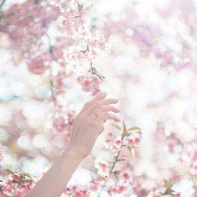 bat365的登录入口